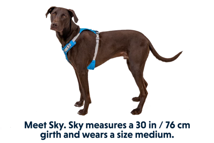 Ruffwear® Hi & Light™ облегченная шлея