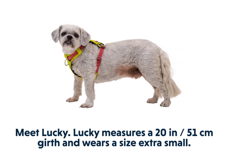 Ruffwear® Hi & Light™ облегченная шлея