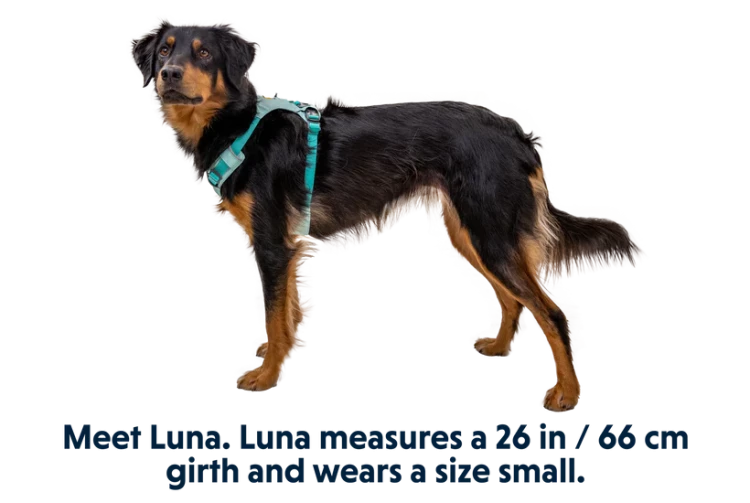 Ruffwear® Hi & Light™ облегченная шлея