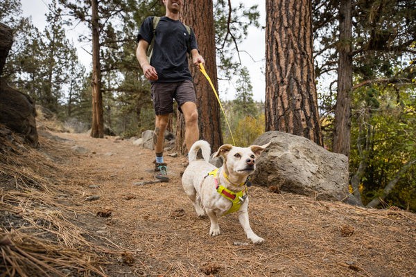Ruffwear® Hi & Light™ облегченная шлея