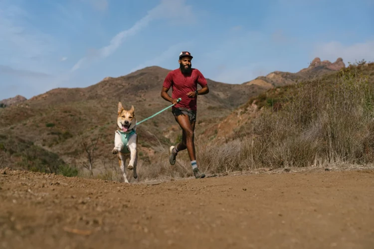 Ruffwear® Hi & Light™ облегченная шлея
