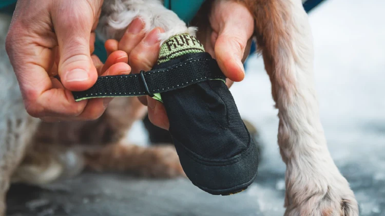 Ботинки RUFFWEAR® Summit Trex™ New (комплект - 4 шт.)