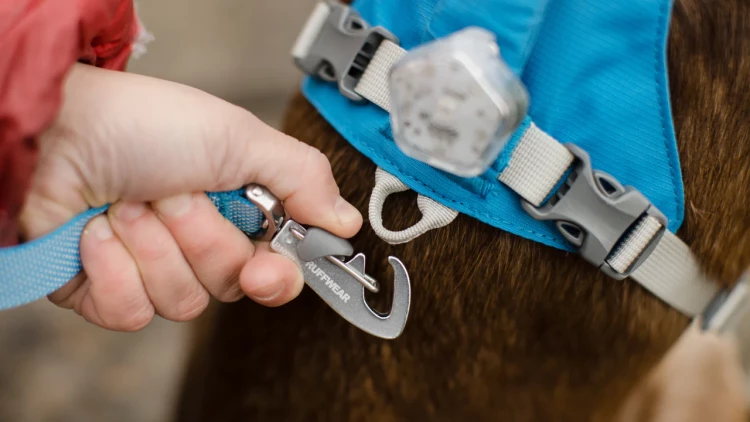 Ruffwear® Flagline™ поводок-пара 