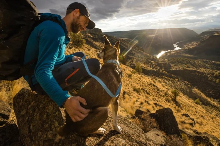 Ruffwear® Flagline™ поводок-пара 