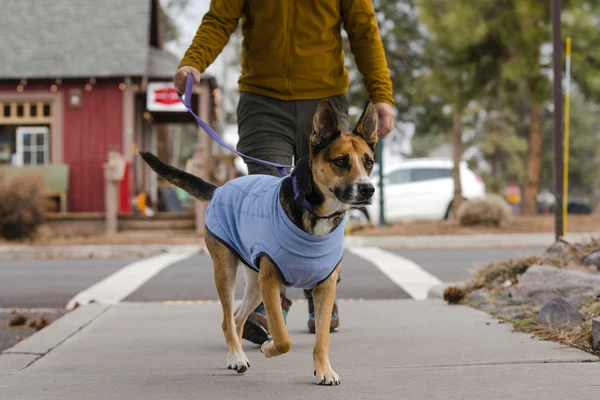 Ruffwear® Hemp Hound™ Dog Sweater