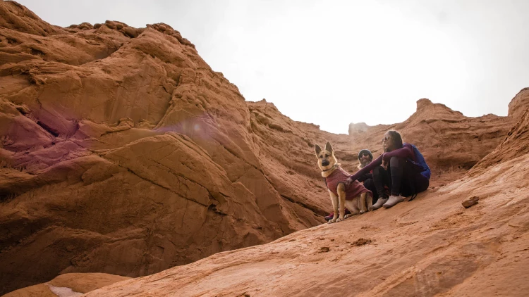 Ruffwear® Hemp Hound™ Dog Sweater