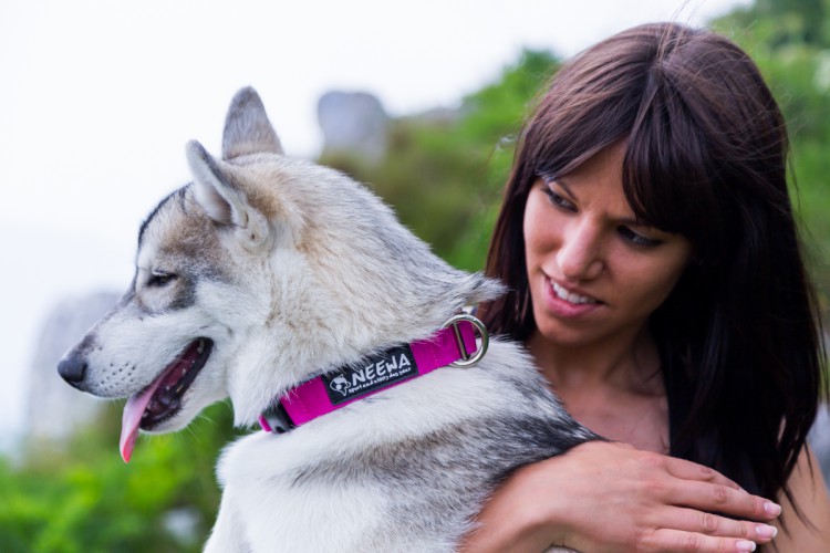 EASY FIT COLLAR