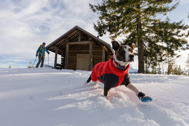 Ruffwear® Furness™ Dog Jacket