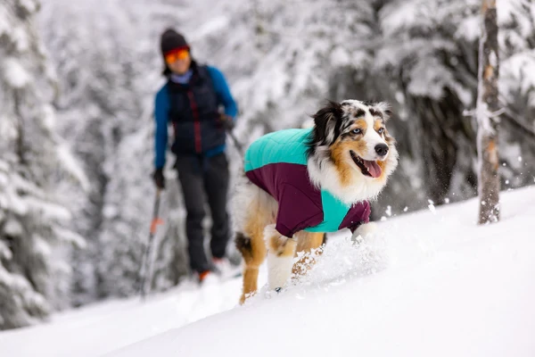 Ruffwear® Powder Hound™ Dog Jacket New