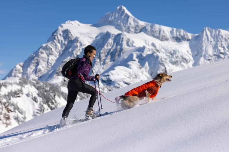 Ruffwear® Powder Hound™ Dog Jacket New