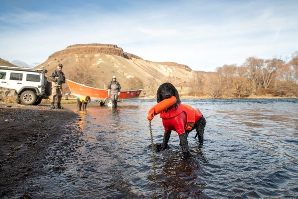 Ruffwear® Undercoat™ Dog Water Jacket