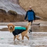Ruffwear® Undercoat™ Dog Water Jacket