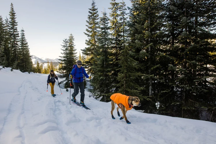 Ruffwear® Quinzee™ New
