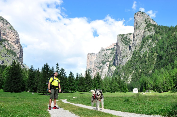 DOG TREKKING BELT