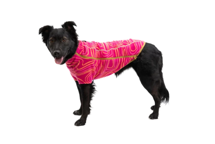 Ruffwear® Climate Changer™ New