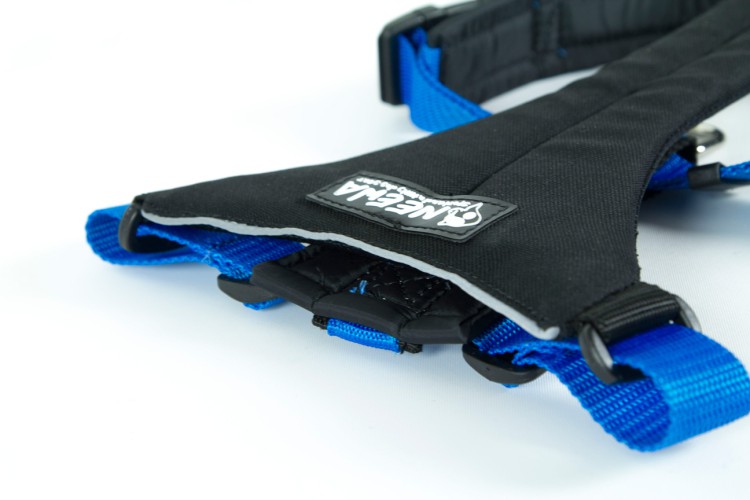 RUNNING HARNESS