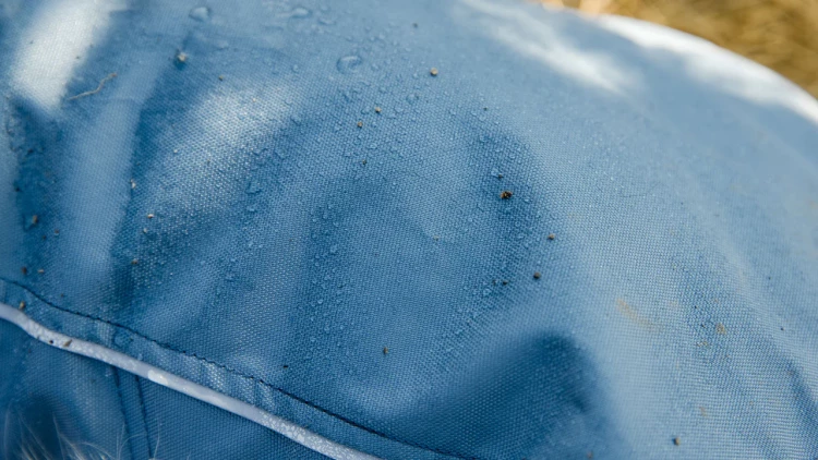 Ruffwear® Overcoat™ New