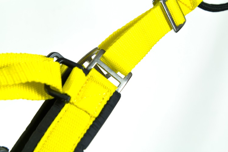 SLED DOG HARNESS