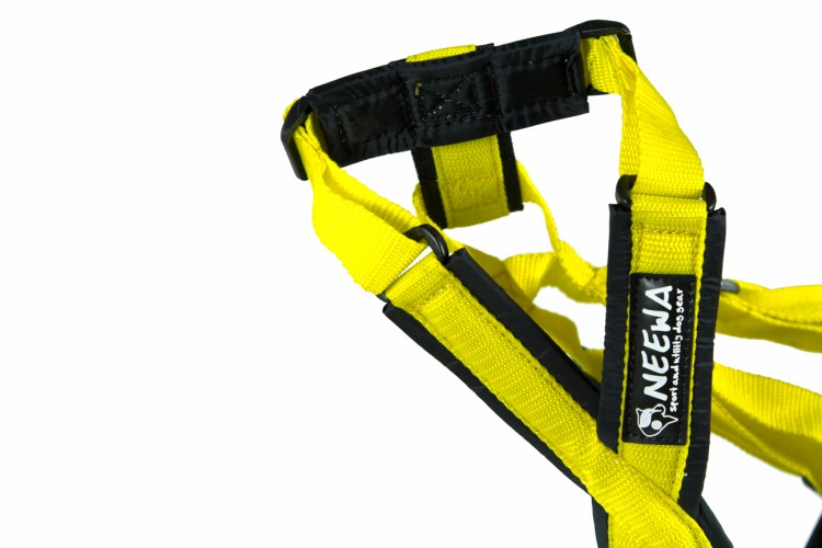 SLED DOG HARNESS