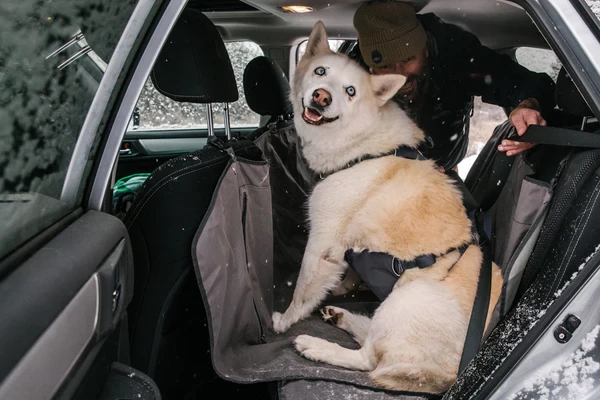 RUFFWEAR® Load Up™ шлея автомобильной безопасности New