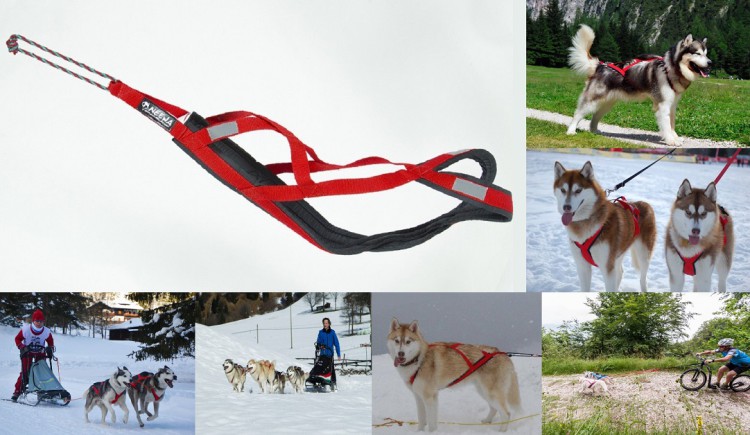 SLED PRO HARNESS