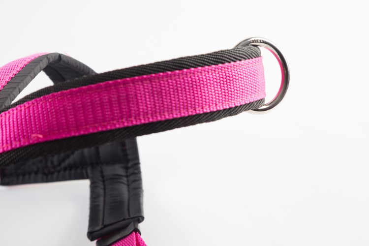 SPORT HARNESS