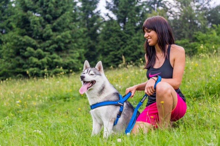 SPORT HARNESS