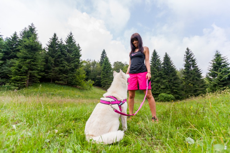 SPORT HARNESS