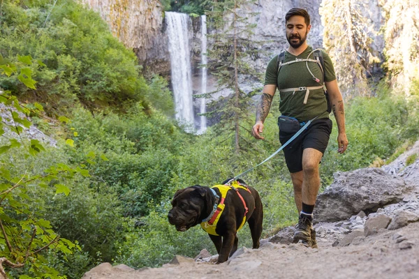 Ruffwear® Stash Bag Plus™ - универсальная сумочка для прогулок с собакой