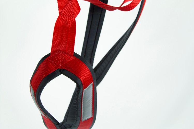 X-BACK RACING HARNESS