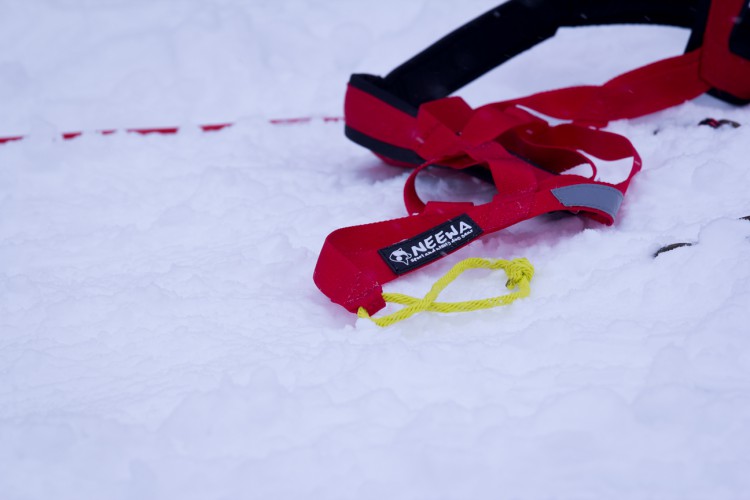 X-BACK RACING HARNESS