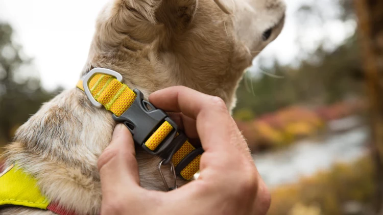 Ruffwear® Hi & Light Collar — сверхлегкий ошейник-пара для собак