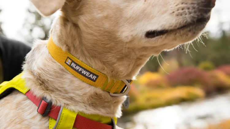 Ruffwear® Hi & Light Collar — сверхлегкий ошейник-пара для собак