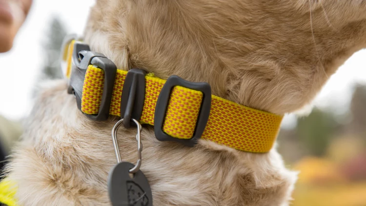 Ruffwear® Hi & Light Collar — сверхлегкий ошейник-пара для собак