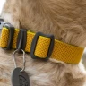 Ruffwear® Hi & Light Collar — сверхлегкий ошейник-пара для собак