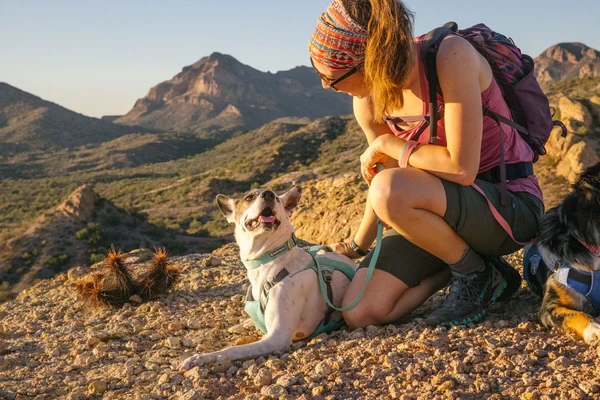 Ruffwear® Hi & Light Collar — сверхлегкий ошейник-пара для собак