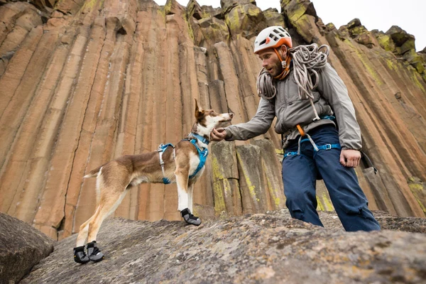 Ruffwear® Hi & Light Collar — сверхлегкий ошейник-пара для собак
