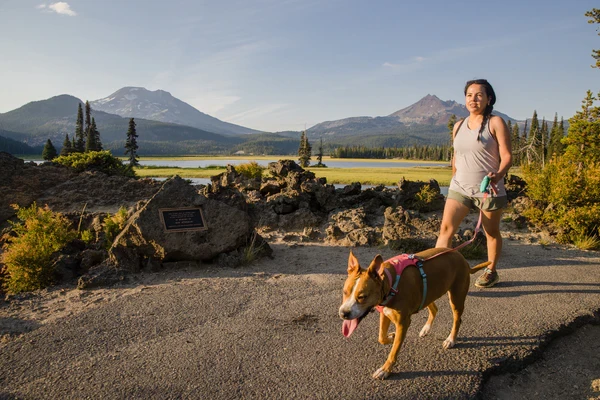 Ruffwear® Stash Bag Mini™ - компактная сумочка для прогулок с собакой