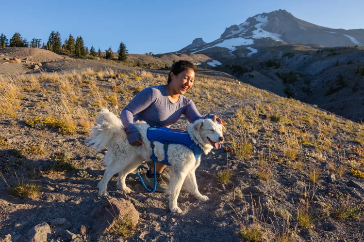 Ruffwear® Trail Runner™ шлейка-жилет для бега 