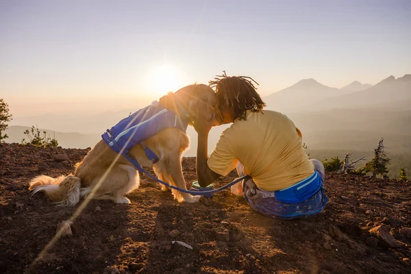 Ruffwear® Trail Runner™ шлейка-жилет для бега 