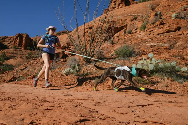Ruffwear® Swamp Cooler™ охлаждающая шлейка 