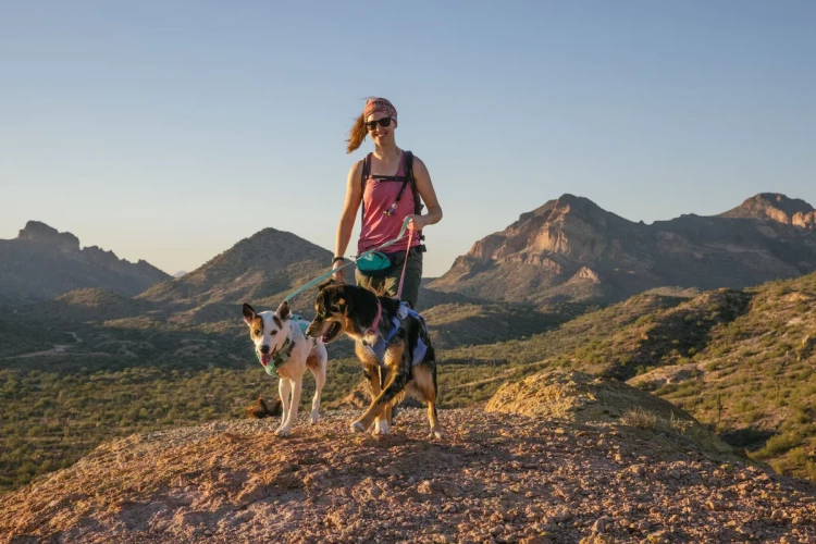 Ruffwear® Swamp Cooler™ охлаждающая шлейка 